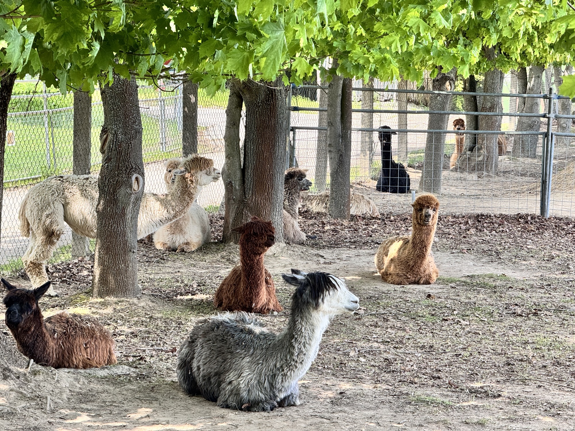 Test 7